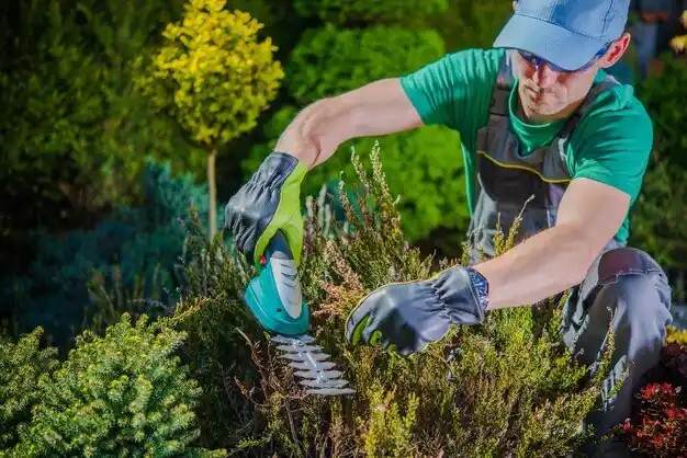 landscaping services Inverness